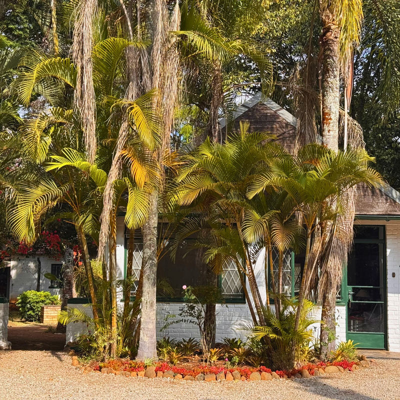 Unit 4 Family Room Outside